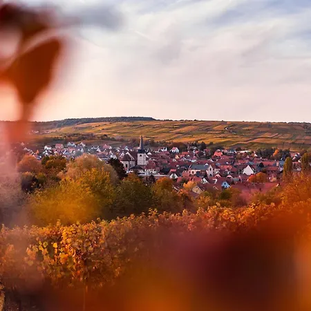 Le Du Kaiser Apartment Kaysersberg-Vignoble