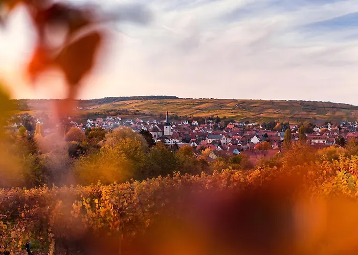 Le Du Kaiser Apartment Kaysersberg-Vignoble